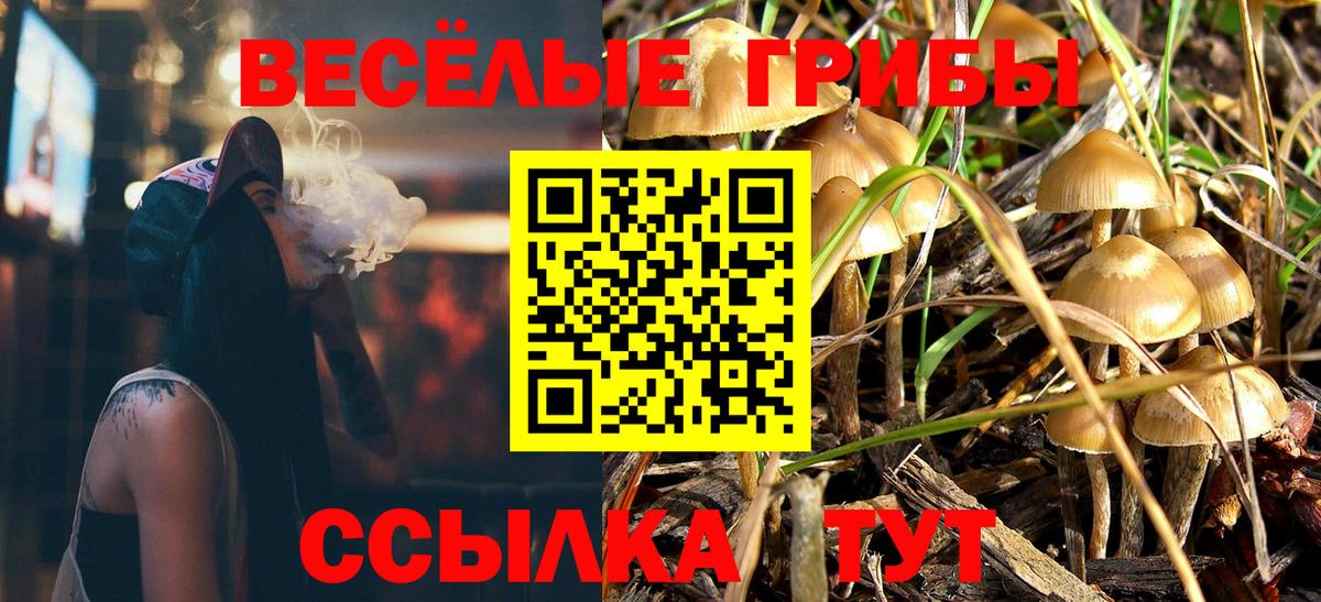 Гашиш  Новошахтинск  Канабис  Меф МЯУ МЯУ   Вход с VPN  КОКАИН  НБОМе 