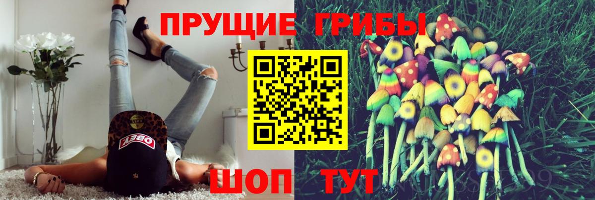Галлюциногенные грибы мицелий  Вход с VPN  Новошахтинск  Галлюциногенные грибы GOLDEN TEACHER 