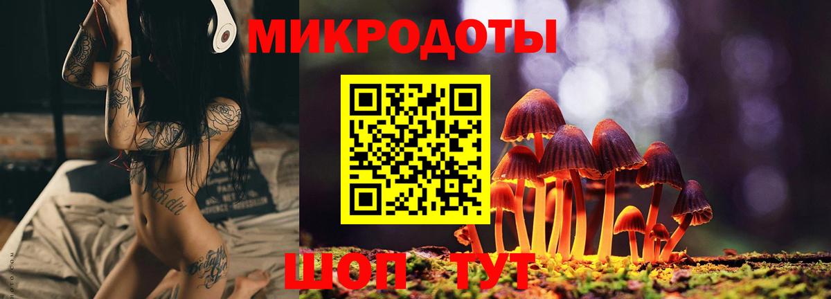 Псилоцибиновые грибы GOLDEN TEACHER Новошахтинск